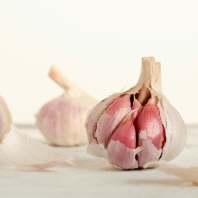 Garlic