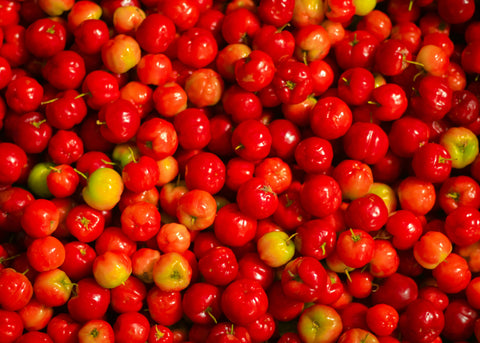 Cereza acerola